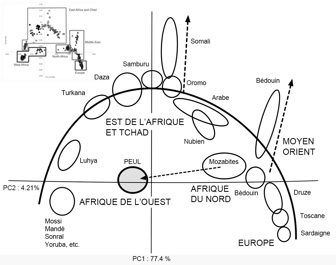 Fig13 GénétiqueSaheXl