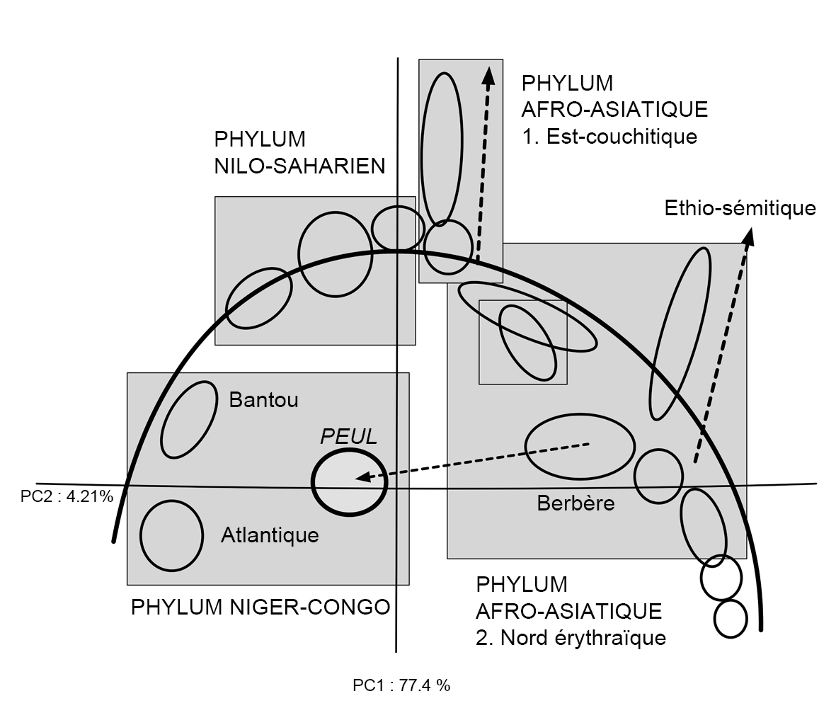 Fig14 GénétiqueSahel2X