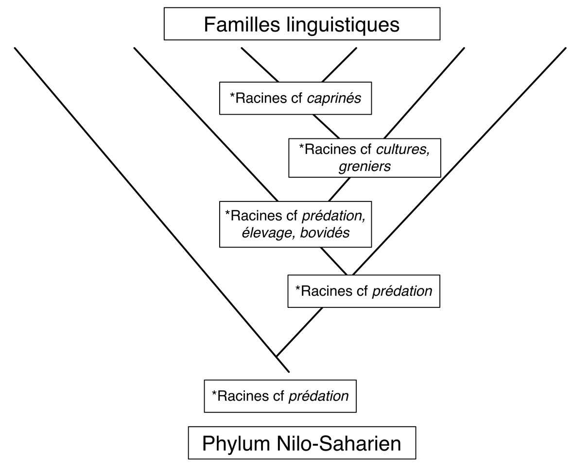 Fig6_NiloSaharien_TaxonomieX