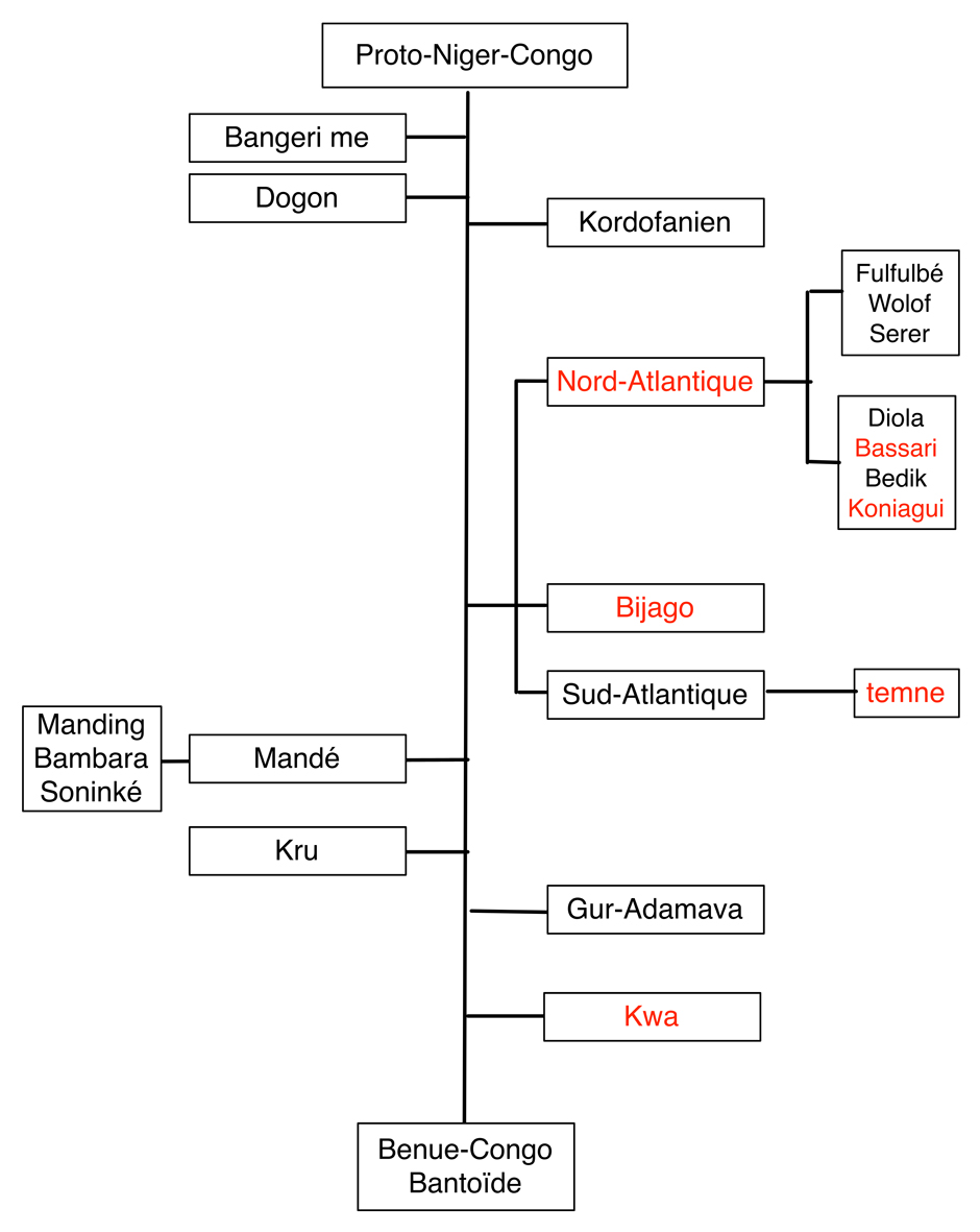 Fig8 Niger_Congo_EvoluitonX
