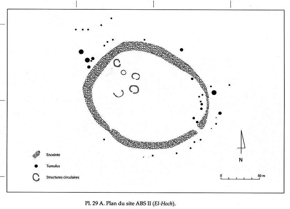  Fig. 6. Plan du site ABS II (El Hoch).