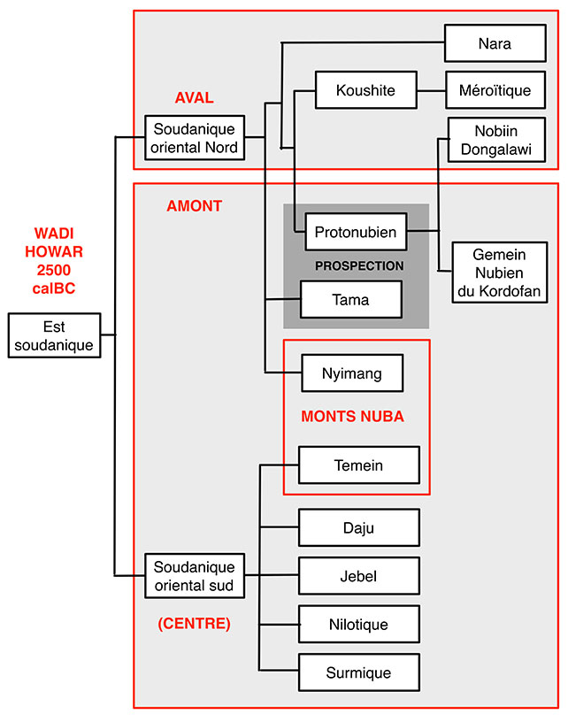 Fig. 1. Classement phylogénétique des langues est-soudaniques issues de la diaspora du Wadi Howar dans le deuxième moitié du 3ème millénaire calBC. La zone grisée correspond au domaine couvert par les prospections. Schéma Alain Gallay.