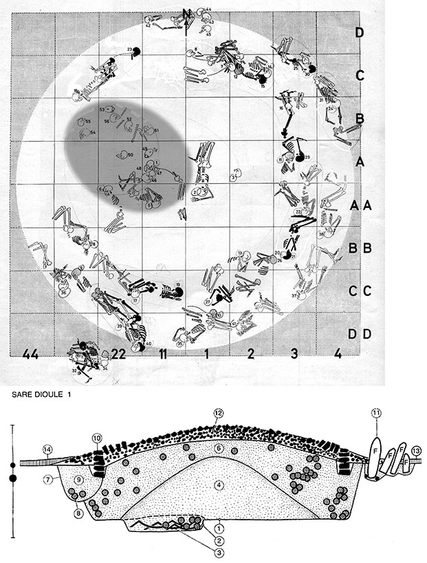 Fig. 8. Tumulus de Saré Diouldé (Sénégal), fouilles Thilmans. On remarquera que les corps disposés en périphérie se présentent souvent en couples.