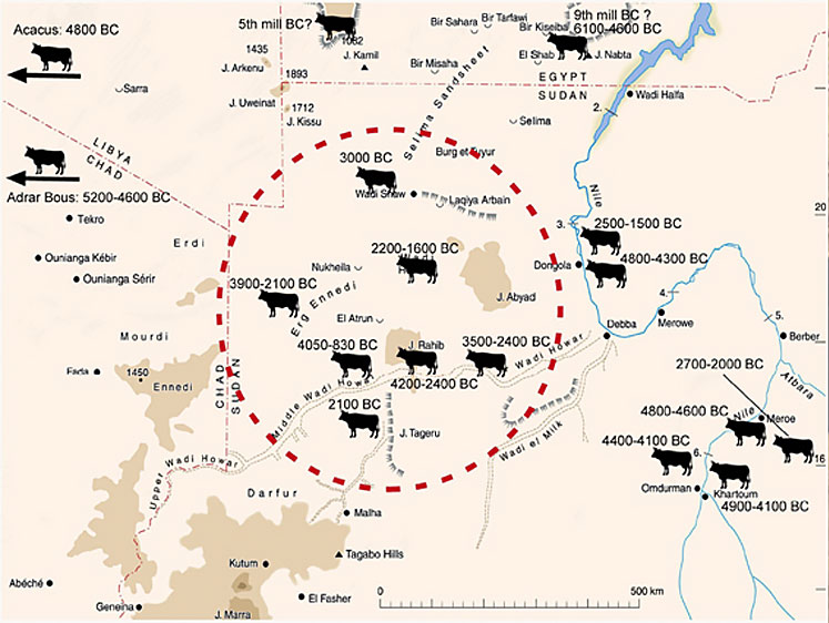 Fig. 4. Dates des premiers bovidés domestiques das la région du Wadi Howar (http://chaz.org/Courses/Nile/Predynastic_Egypt.html).