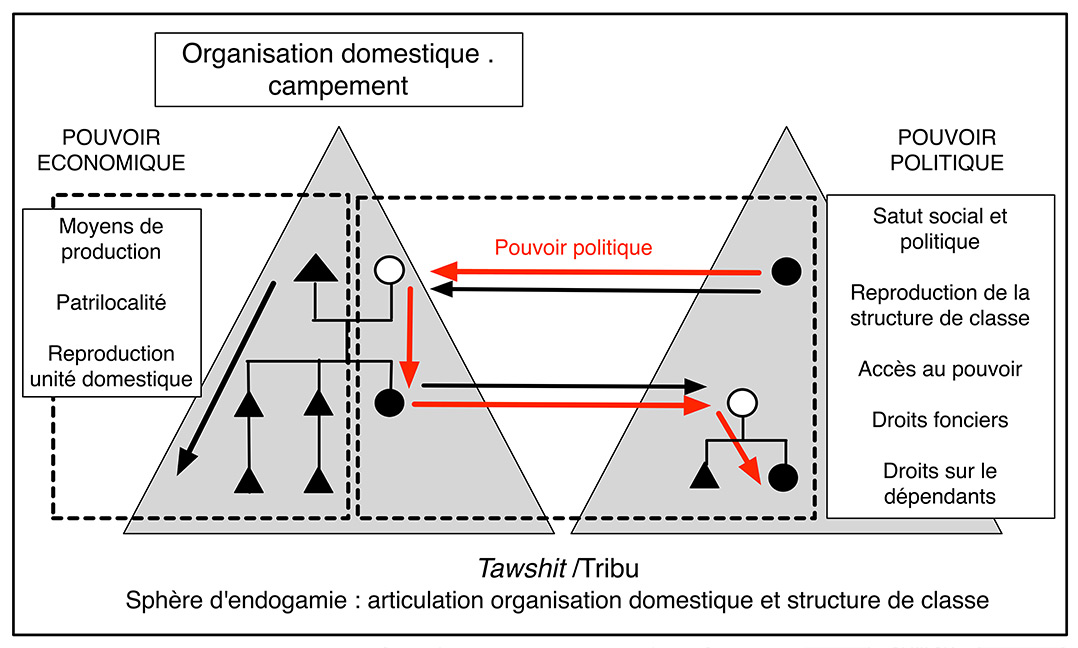 Fig. 5. Articulation des prérogatives économiques des lignées masculines et des prérogatives politiques des lignées féminines évitant une concentration du pouvoir politique dans les mains d’une lignée masculine particulière au sein de la tribu.