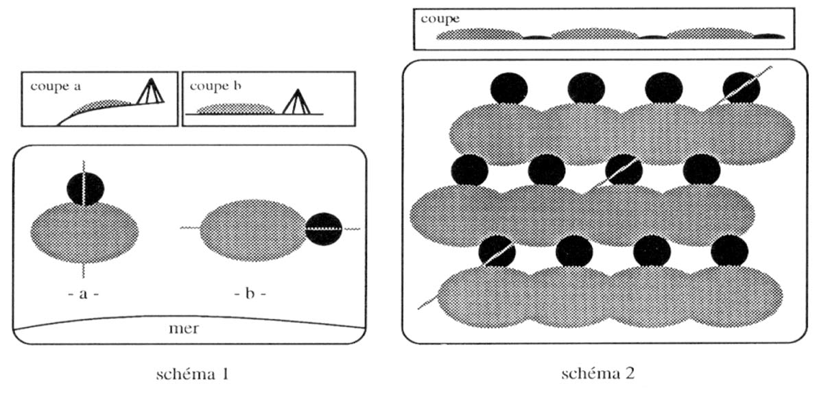 Fig. 3. Processus de formation des amas coquilliers dans les camps yagan (en noir l’habitation, en gris l’amas coquiller). Schéma 1 : sites temporaires. Schéma 2 : site de base avec répétition du schéma 1. D’après Legoupil 1995, fig. 7. 