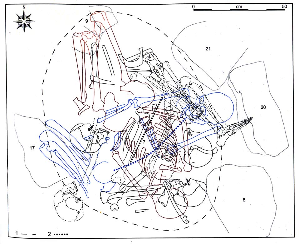 Fig. 5. Téviec, tombe multiple K comprenant 6 individus. D’après Boulestin 2016, fig. 47. 