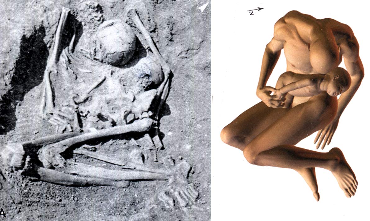 fig. 6. Téviec. Tombe double E, inhumation primaire réunissant un adulte mâle décédé entre 30 et 50 ans et un enfant décédé entre 1 an et 2 ans. Boulestin 2016, fig. 35 et 36. 