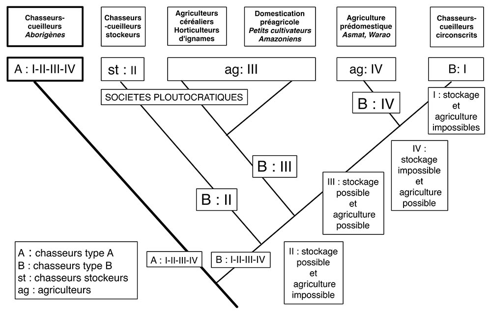 Fig. 13. Un schéma rendant compte des transformations des sociétés humaines depuis le Pleistocène (Schéma A. Gallay).