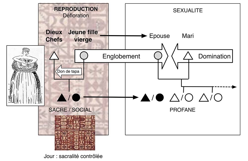 Fig. 19. Une structure idéologique pré-contacts rétablie grâce à l’enquête historique et anthropologique. Opposition entre les notions de reproduction et de sexualité expliquant l’attitude des Tahitiens face aux premiers Européens. Jeune fille enveloppée de tapa : dessin de Sydney Parkinson (premier voyage de Cook). Schéma A. Gallay.