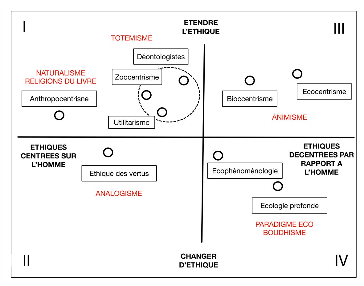 Ecologismes