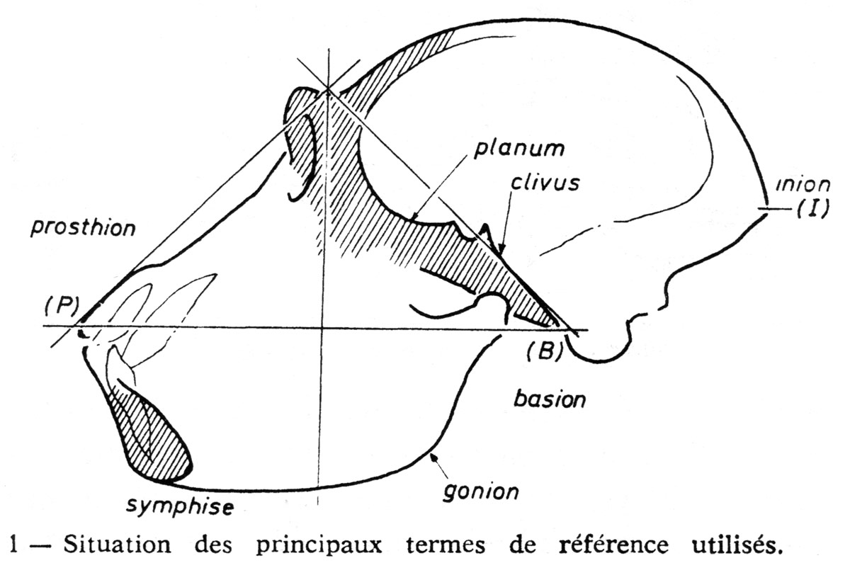 Fig. 7. Situation des principaux termes de référence utilisés (LG, fig. 1).
