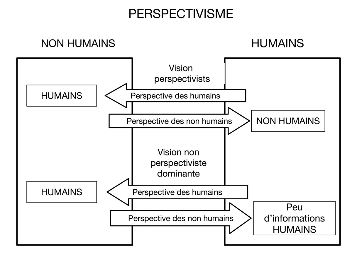 Fig. 1. Différences entre les ontologies achroniques du totémisme et diachronique de l’animisme. Schéma A. Gallay.