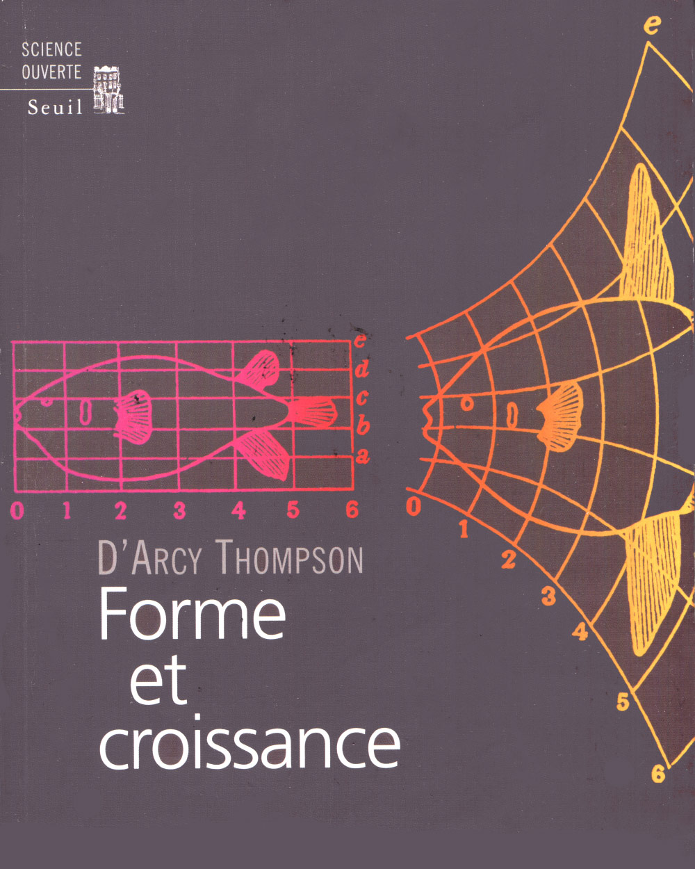 darcy-thomson