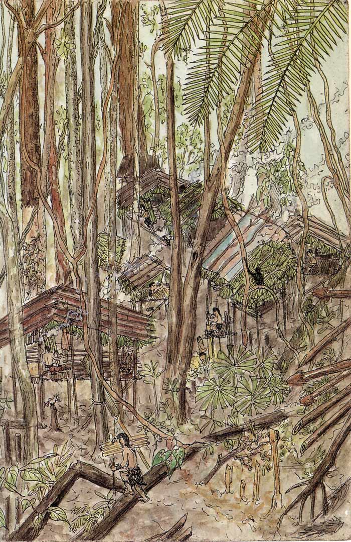  Fig. 1. Campement penan dans la forêt (Sarawak, Bornéo). Dessin Bruno Manser (1992).