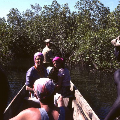 Casamance : pêche en mangrove